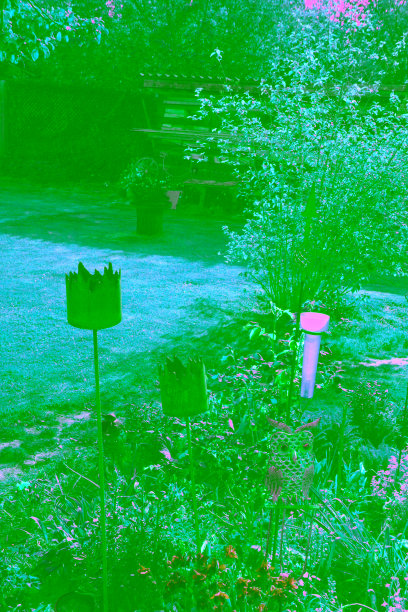 拥有不同金属主题花园装饰和精心护理草坪的美丽私家花园图片下载