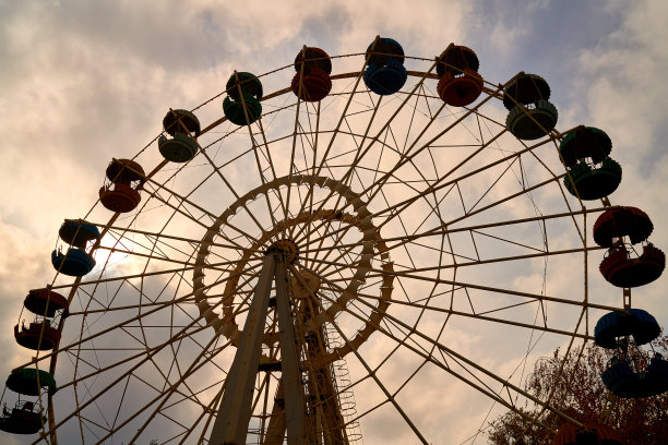 摩天轮矗立在公园里图片下载