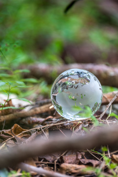 回到生活图片下载