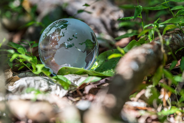 回到生活图片下载