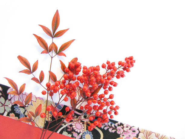 日本的新年形象——家蝇图片下载