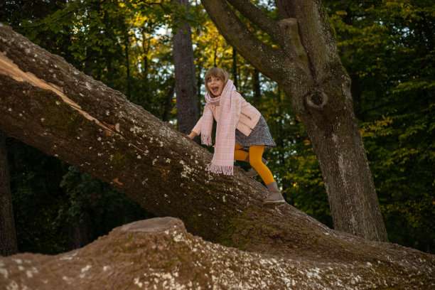 女孩在秋天的公园爬上大树。有趣的童年，户外活动。孩子们的游戏图片下载