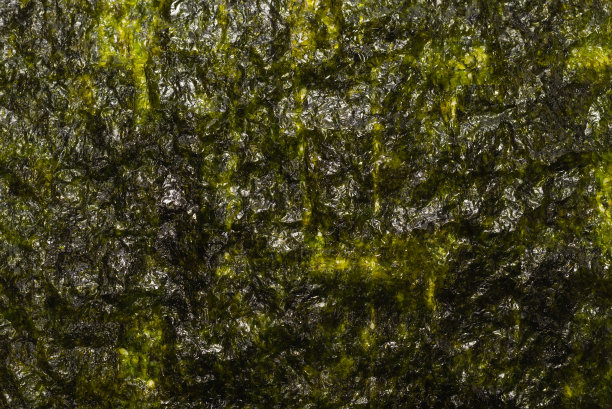 紫菜作为背景。前视图。图片下载