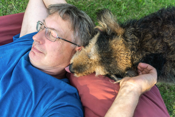 老狗舔着主人的脸图片下载