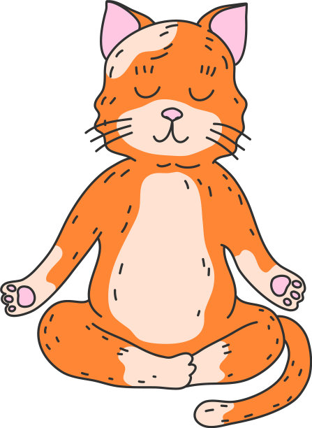 红猫坐着和冥想在莲花的姿势图片下载