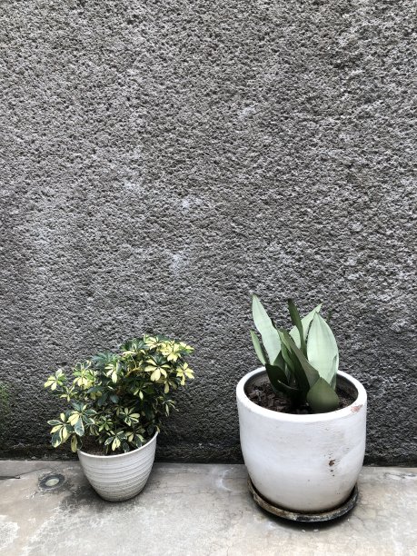 厂房和混凝土墙图片下载