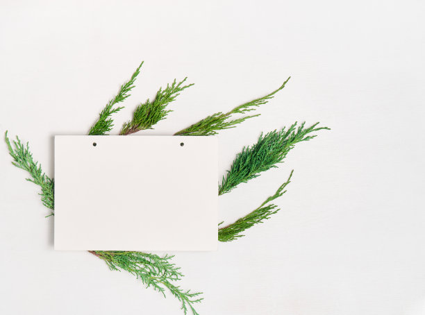 圣诞卡模型。图片下载