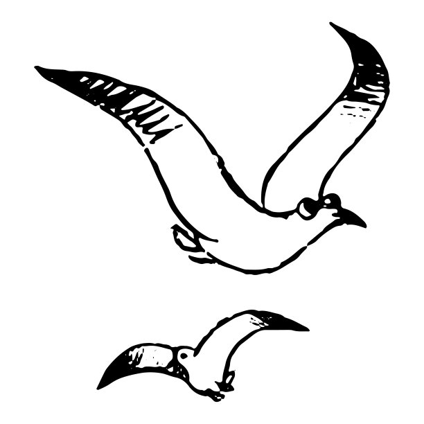 会飞的海鸥，海鸟。手绘矢量插图。涂鸦，画野生动物。黑色轮廓图孤立在白色上。原始风格，单画设计，印刷，卡印，不干胶图片下载