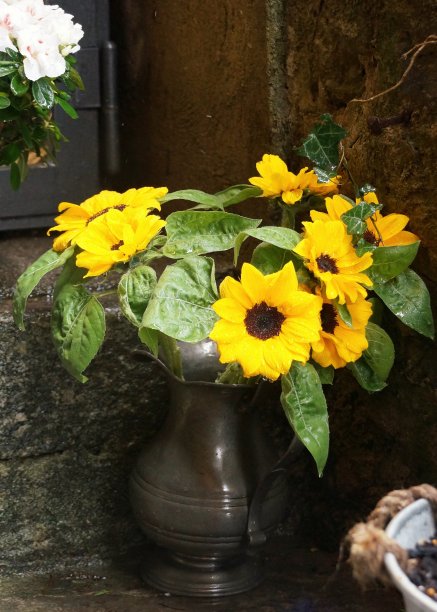 梵高向日葵图片下载