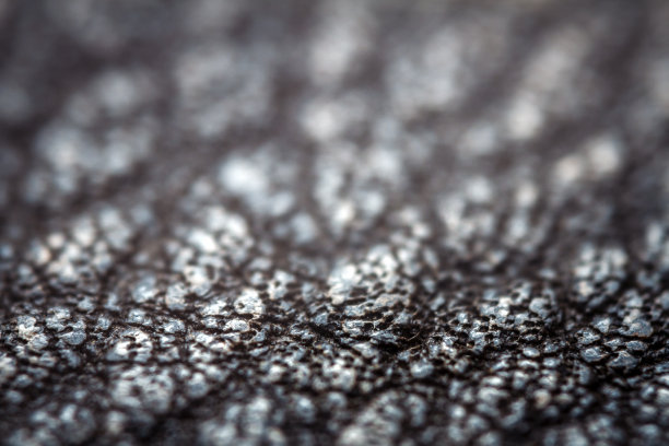 一个皮革的极端特写图片下载