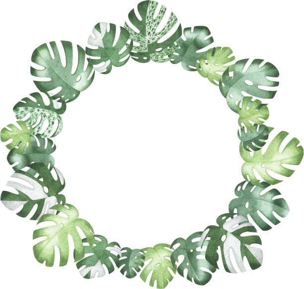 水彩手绘怪物框架。圆形框架与热带叶。贺卡或婚礼贺卡模板。自然的绿色背景和文字空间。图片下载