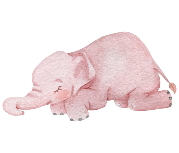 可爱的小象睡觉水彩画插图。儿童插图的性格。图片下载