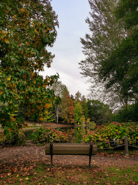 秋天在伊斯坦布尔。图片下载