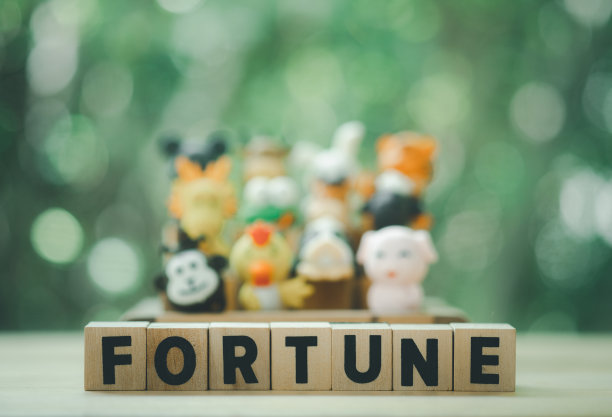 十二生肖木块文字与模糊背景的动物在中国的十二生肖。算命或算命的概念图片下载