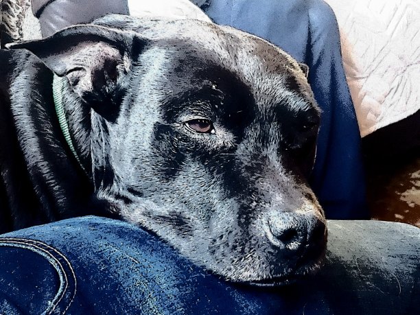 老男孩图片下载