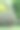 柑橘属植物品种，夕阳灌木，园林景观。图片下载