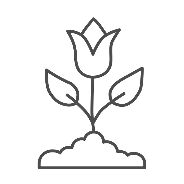 郁金香细线象征春天的花朵概念图片下载