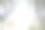 维拉菲拉自然公园的杨树林的艺术照片。萨莫拉图片下载
