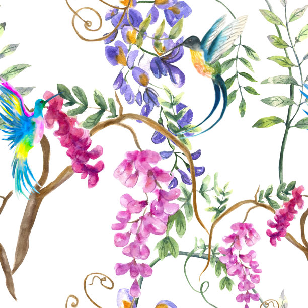 水彩插图。无缝花图案在白色的背景与紫藤花和蜂鸟。背景、印花、纸张、织物等图案。图片下载