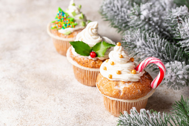 装饰不同的圣诞节日纸杯蛋糕图片下载