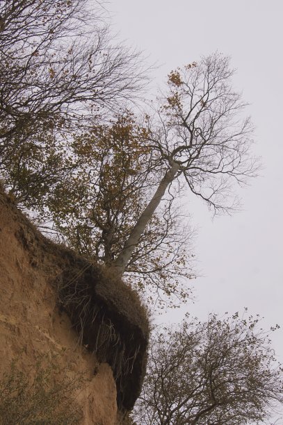 秋季的波罗的海悬崖图片下载