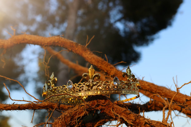 神秘而神奇的照片，国王的皇冠在英国森林老树枝上。中世纪的概念。图片下载
