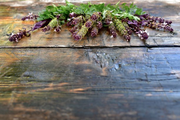 木桌上放着一扇盛开的罗勒枝和欧芹。图片下载