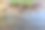 木桌上放着一扇盛开的罗勒枝和欧芹。图片下载