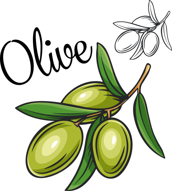 橄榄画图标图片下载