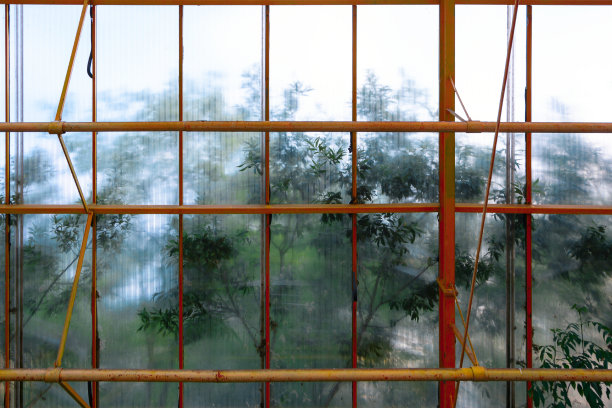 大自然的镇静作用图片下载