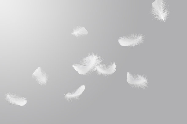 柔和的光，白色的羽毛漂浮在天空。灰色背景上的羽毛抽象自由。图片下载
