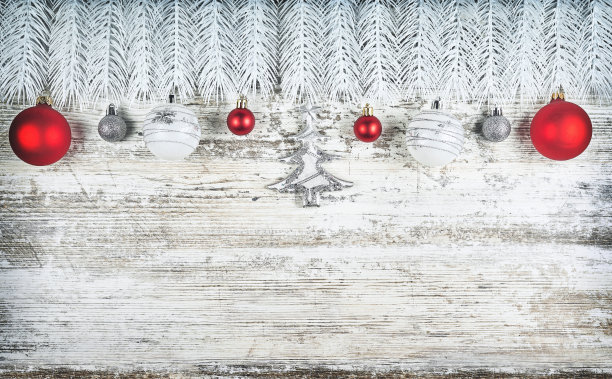 冬季或圣诞节主题横幅，圣诞作文。冷杉树枝图片下载