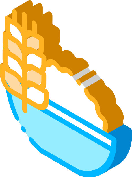 健康食品小麦小穗等距图标图片下载