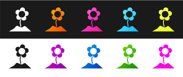 设置花图标隔离在黑色和白色图片下载