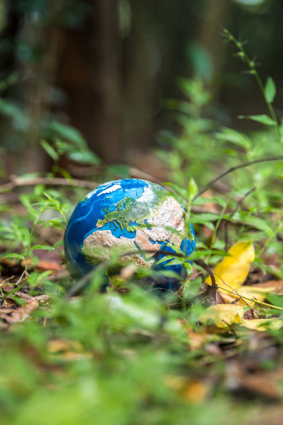 重获新生图片下载