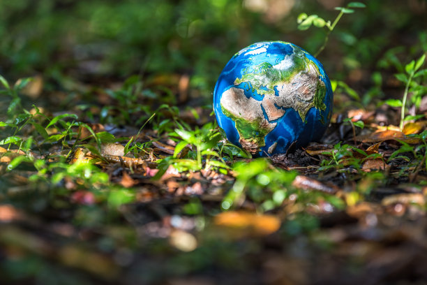 重获新生图片下载