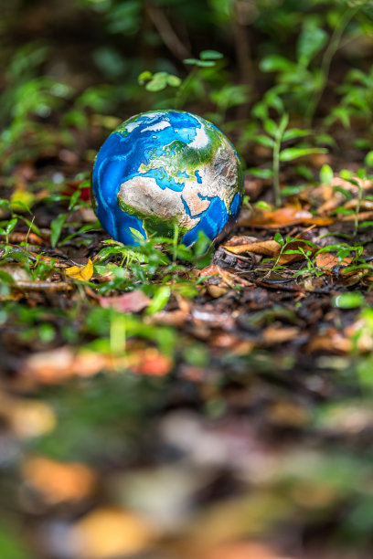 重获新生图片下载