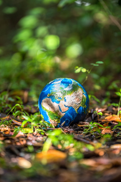 重获新生图片下载