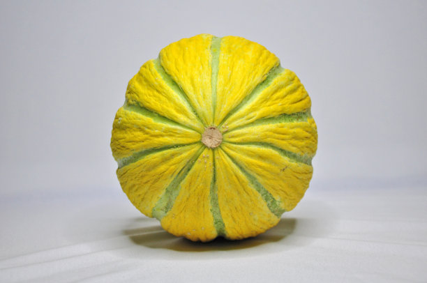 一个甜瓜图片下载