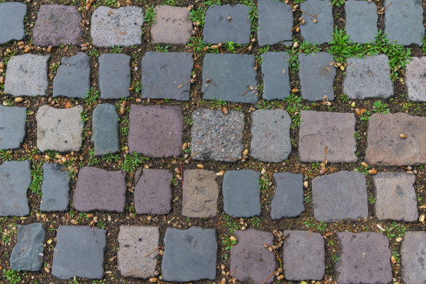 铺有方形石块的路面落在石头之间的橡子。图片下载