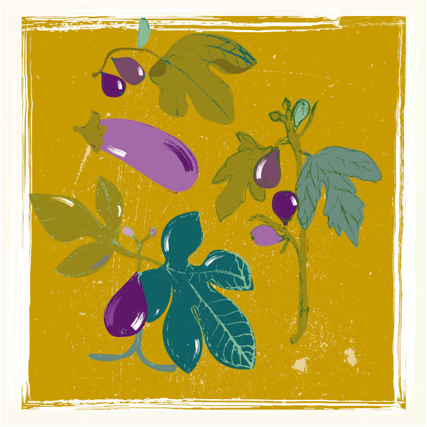 黄色背景是无花果图片下载