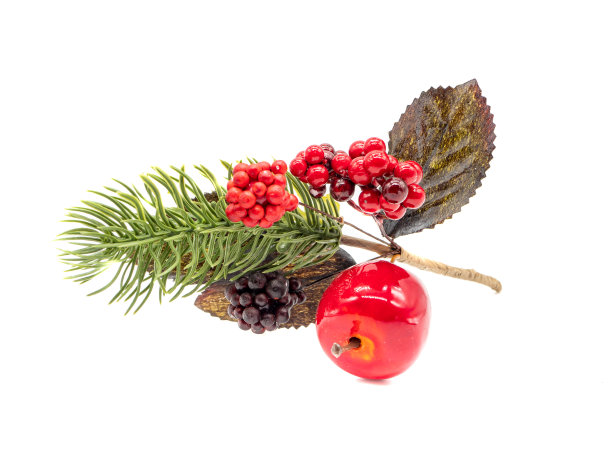 圣诞树的树枝与圣诞装饰孤立在白色的背景图片下载