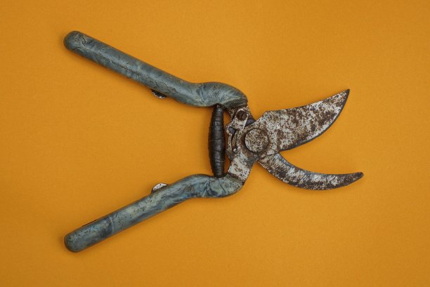 一把灰色的旧花园剪刀图片下载