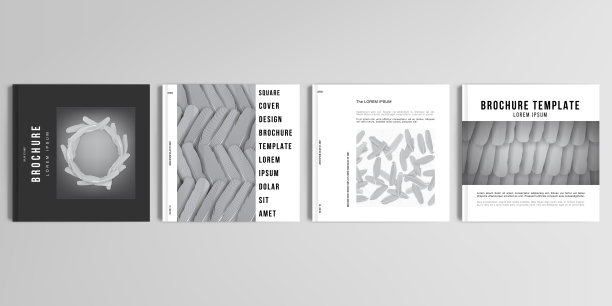 封面模型设计模板的现实向量布局的方形小册子，封面设计，传单，书设计，杂志，海报。羽毛，抽象风格的鸟类羽毛。图形模式。图片下载