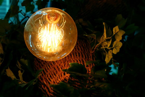 灯和植物图片下载