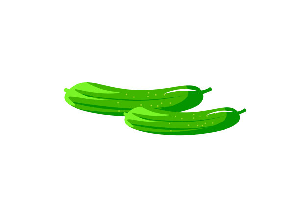 健康新鲜的食物。黄瓜矢量插图。图片下载