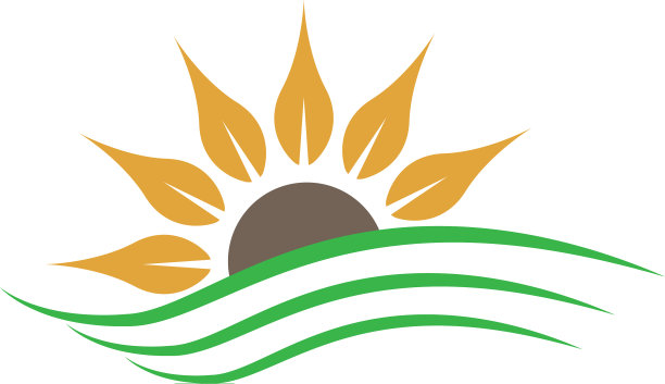 太阳花标志图标概念图片下载