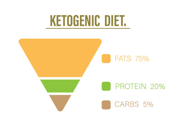 生酮饮食食物金字塔显示比例75%健康脂肪，20%蛋白质和5%碳水化合物，生酮饮食信息图表或图表，减肥趋势，矢量插画艺术设计的健康概念图片下载