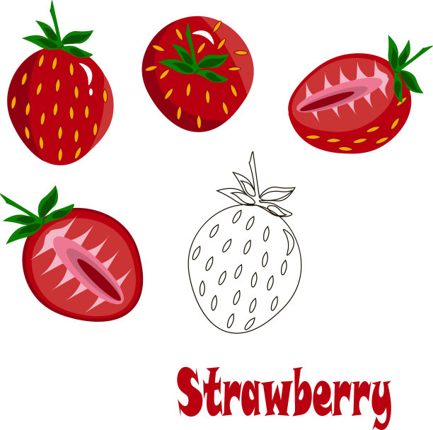 新鲜草莓一套图片下载