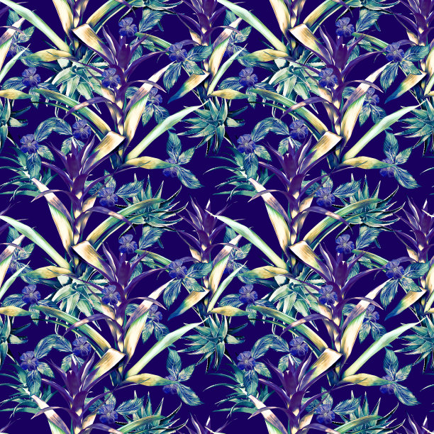 古兹曼花与芦荟和热带植物无缝图案。图片下载